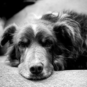 Meet your Posher, Cami